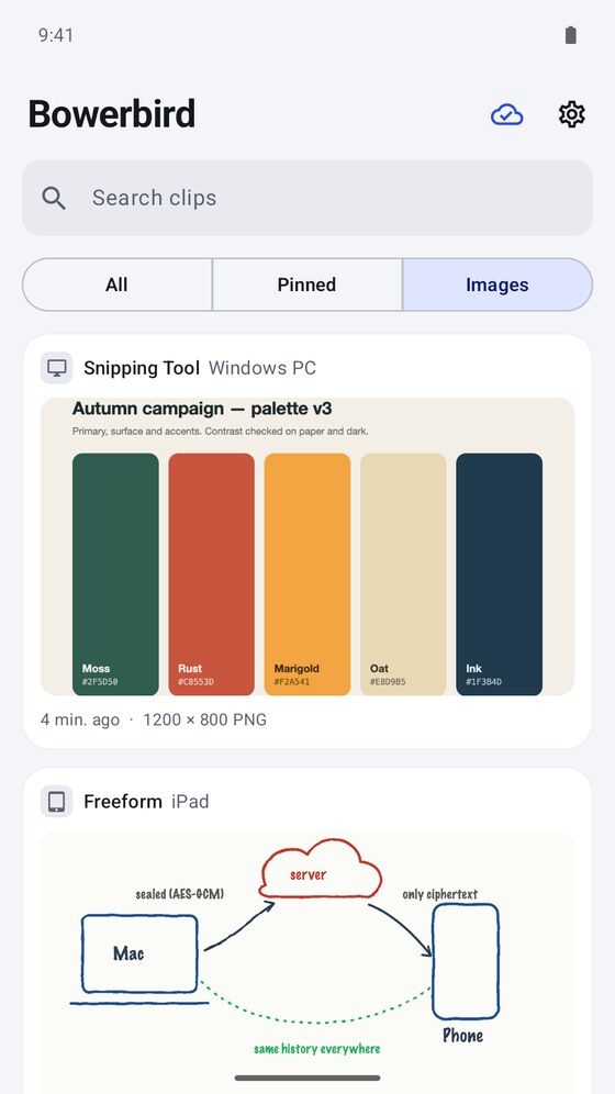 Images in Bowerbird on Android