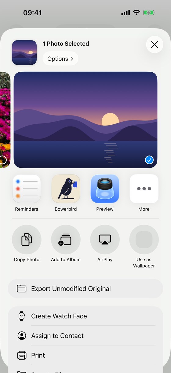 Sharing into Bowerbird from iOS